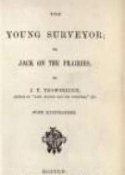 The Young Surveyor