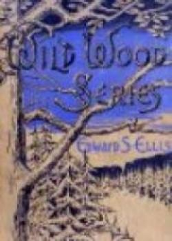 Through Forest And Fire