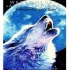Werewolves And Vampires - A Shapeshifter