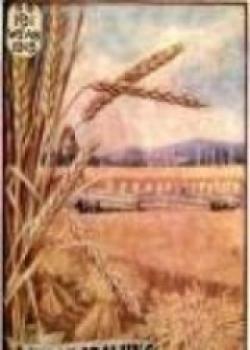 Wheat Growing In Australia