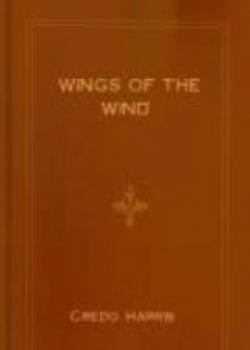 Wings Of The Wind