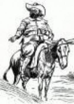 Wit And Wisdom Of Don Quixote