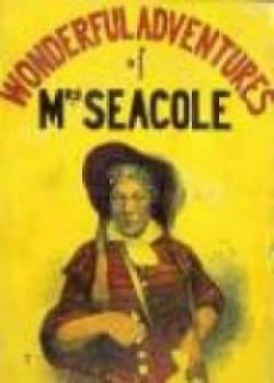 Wonderful Adventures Of Mrs. Seacole In Many Lands
