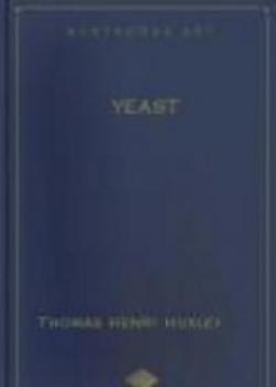 Yeast